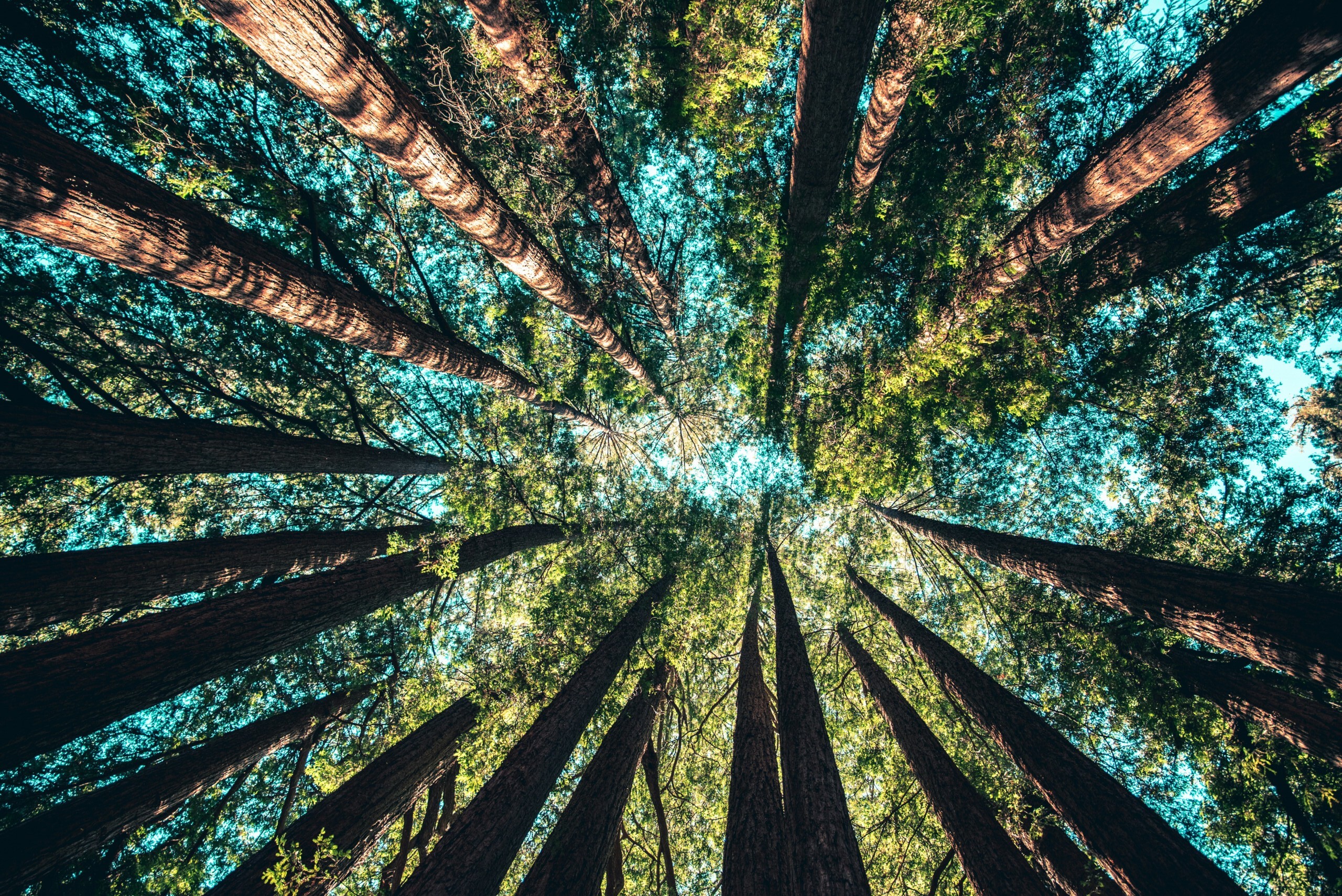 casey-horner-4rDCa5hBlCs-unsplash